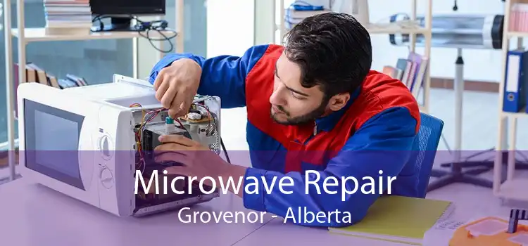 Microwave Repair Grovenor - Alberta