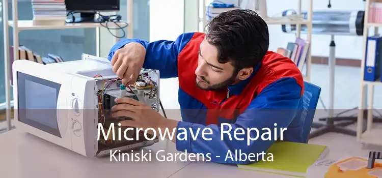 Microwave Repair Kiniski Gardens - Alberta