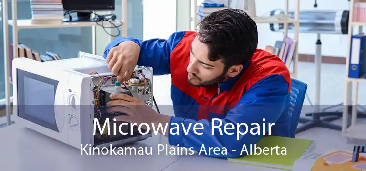 Microwave Repair Kinokamau Plains Area - Alberta
