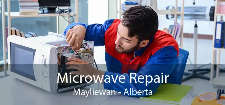Microwave Repair Mayliewan - Alberta