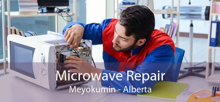 Microwave Repair Meyokumin - Alberta