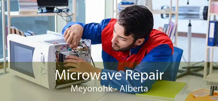Microwave Repair Meyonohk - Alberta