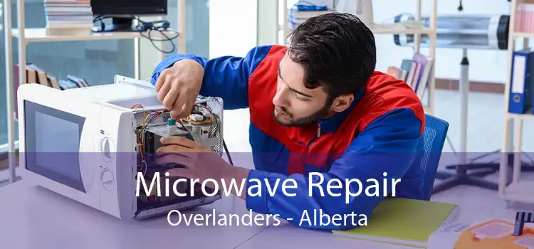 Microwave Repair Overlanders - Alberta