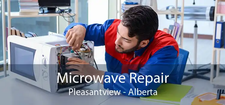 Microwave Repair Pleasantview - Alberta