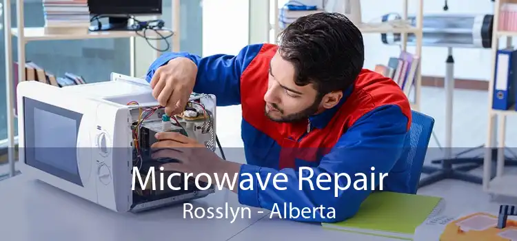 Microwave Repair Rosslyn - Alberta
