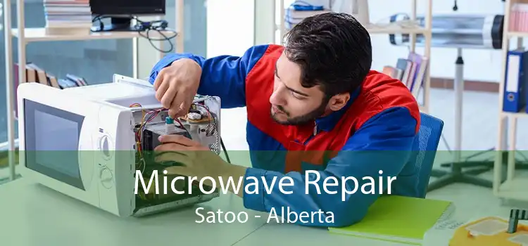 Microwave Repair Satoo - Alberta