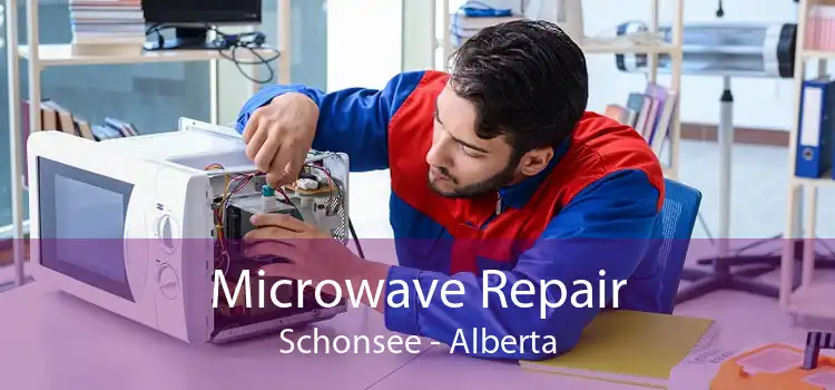 Microwave Repair Schonsee - Alberta