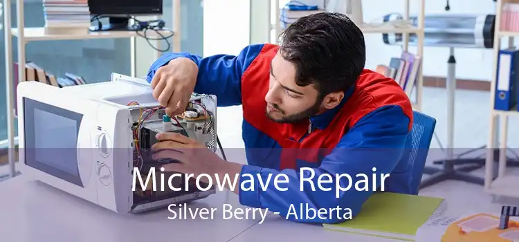 Microwave Repair Silver Berry - Alberta