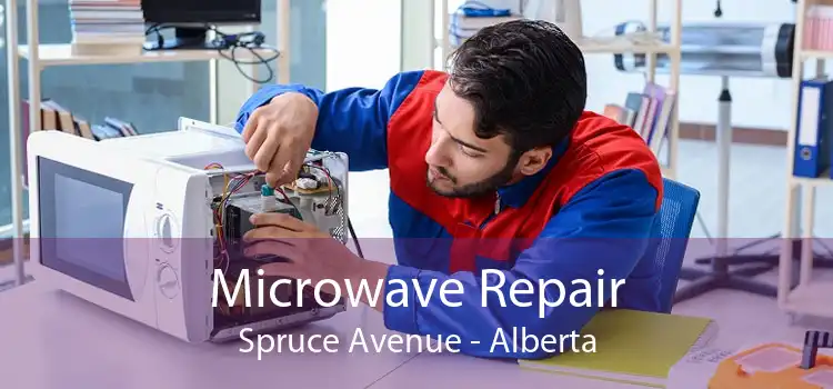 Microwave Repair Spruce Avenue - Alberta