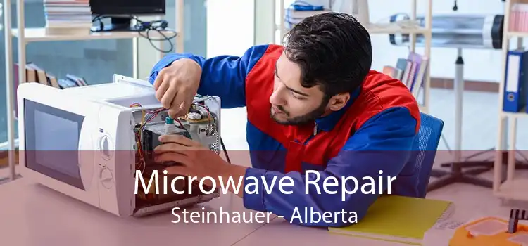 Microwave Repair Steinhauer - Alberta