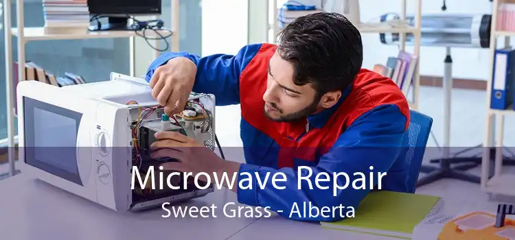 Microwave Repair Sweet Grass - Alberta