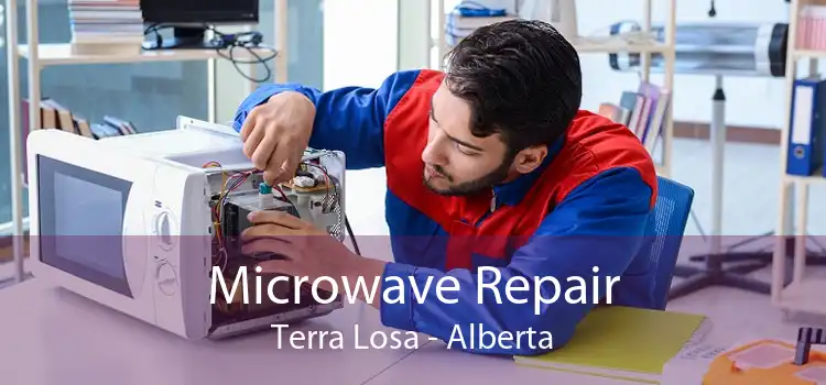 Microwave Repair Terra Losa - Alberta
