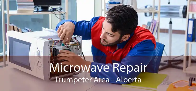Microwave Repair Trumpeter Area - Alberta