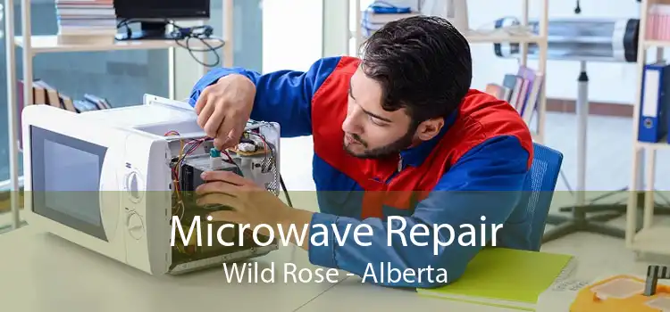 Microwave Repair Wild Rose - Alberta