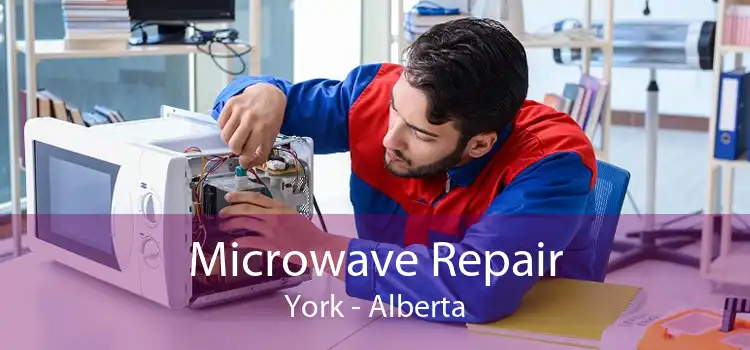 Microwave Repair York - Alberta