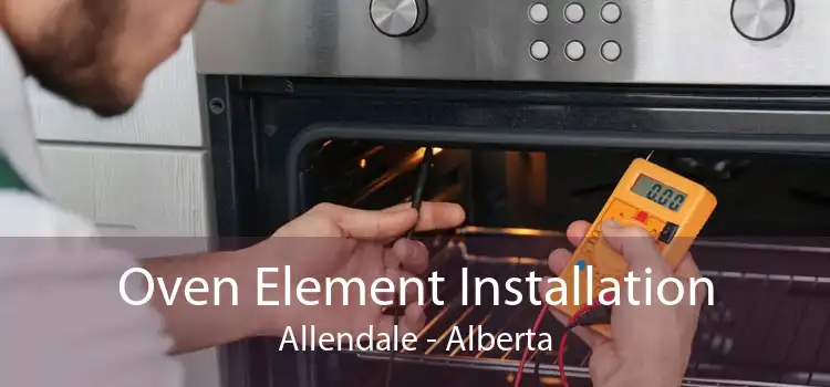 Oven Element Installation Allendale - Alberta