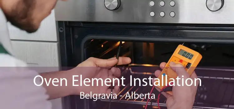 Oven Element Installation Belgravia - Alberta