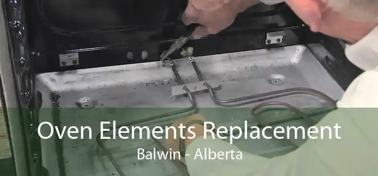 Oven Elements Replacement Balwin - Alberta