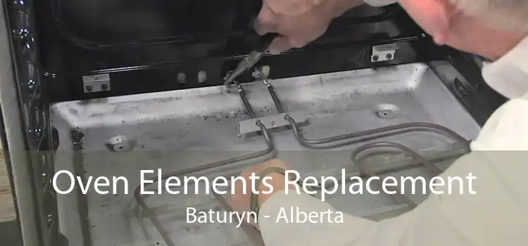 Oven Elements Replacement Baturyn - Alberta
