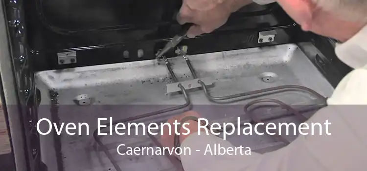 Oven Elements Replacement Caernarvon - Alberta
