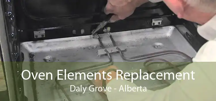 Oven Elements Replacement Daly Grove - Alberta