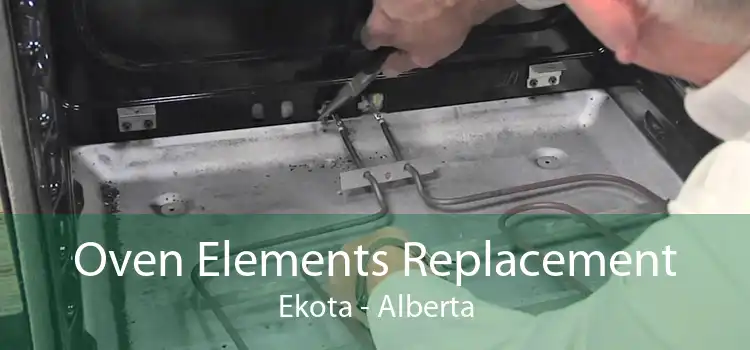 Oven Elements Replacement Ekota - Alberta