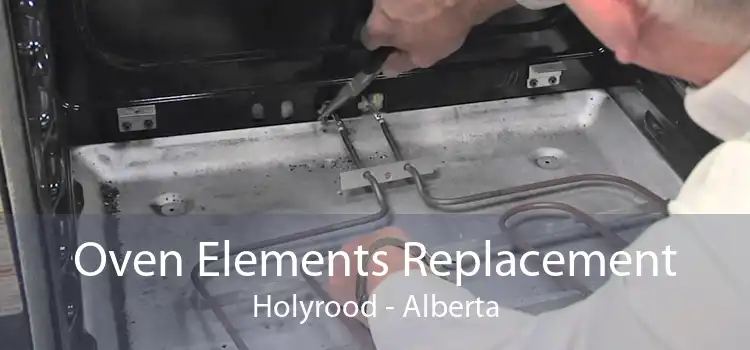 Oven Elements Replacement Holyrood - Alberta