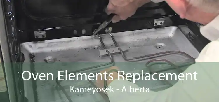 Oven Elements Replacement Kameyosek - Alberta