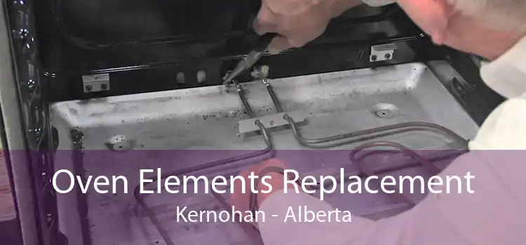 Oven Elements Replacement Kernohan - Alberta
