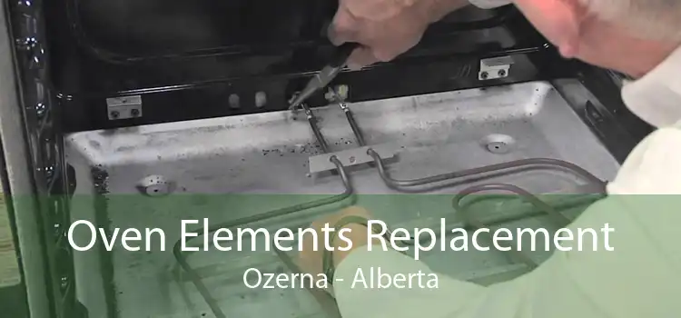 Oven Elements Replacement Ozerna - Alberta