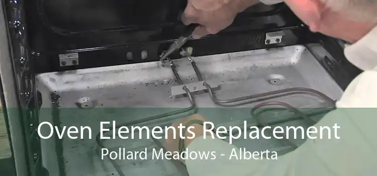 Oven Elements Replacement Pollard Meadows - Alberta