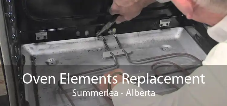 Oven Elements Replacement Summerlea - Alberta