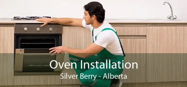 Oven Installation Silver Berry - Alberta