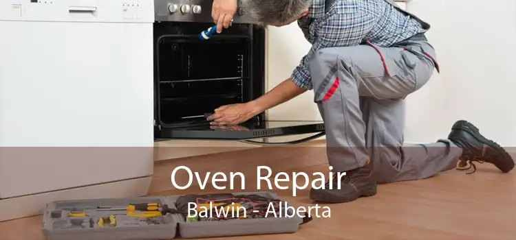 Oven Repair Balwin - Alberta