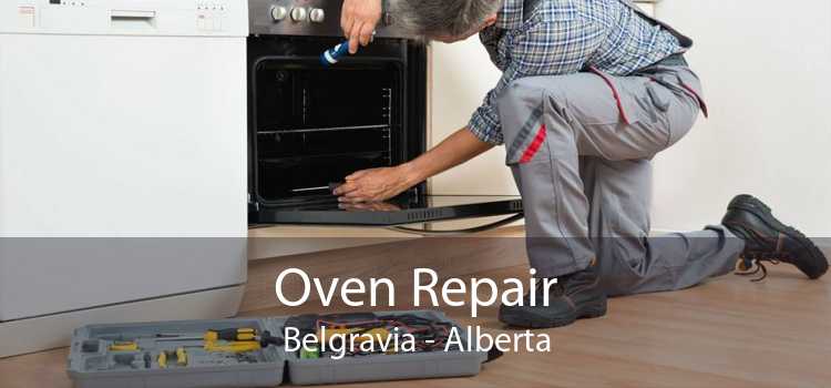 Oven Repair Belgravia - Alberta