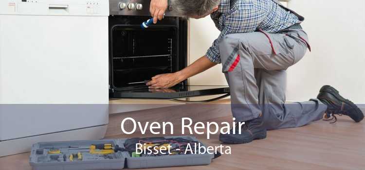 Oven Repair Bisset - Alberta