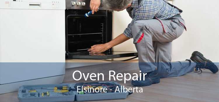 Oven Repair Elsinore - Alberta