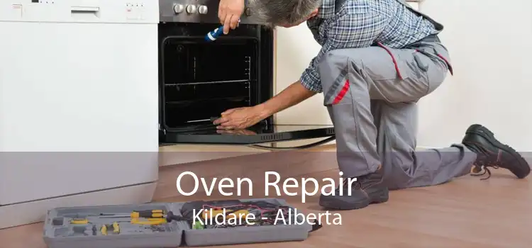 Oven Repair Kildare - Alberta