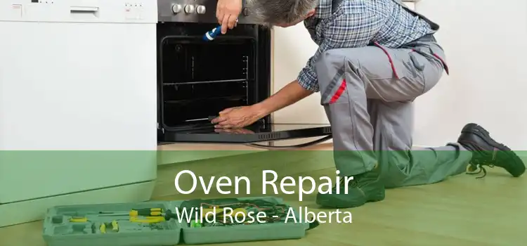 Oven Repair Wild Rose - Alberta