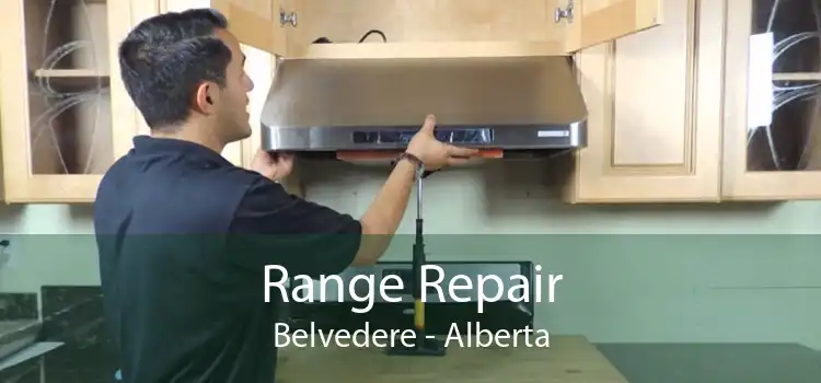 Range Repair Belvedere - Alberta