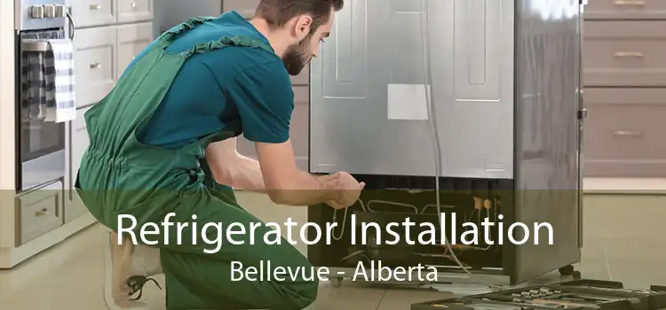 Refrigerator Installation Bellevue - Alberta