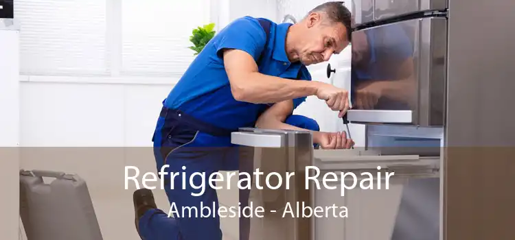 Refrigerator Repair Ambleside - Alberta