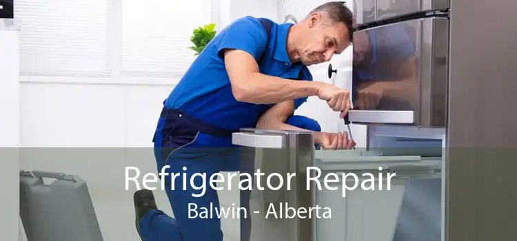 Refrigerator Repair Balwin - Alberta