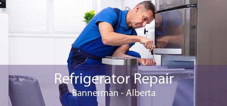 Refrigerator Repair Bannerman - Alberta