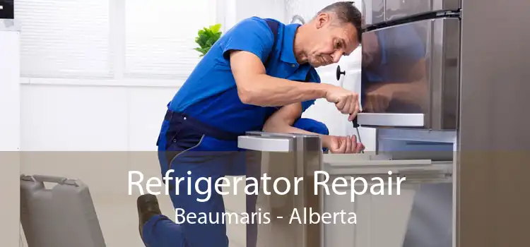 Refrigerator Repair Beaumaris - Alberta