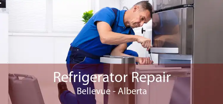 Refrigerator Repair Bellevue - Alberta