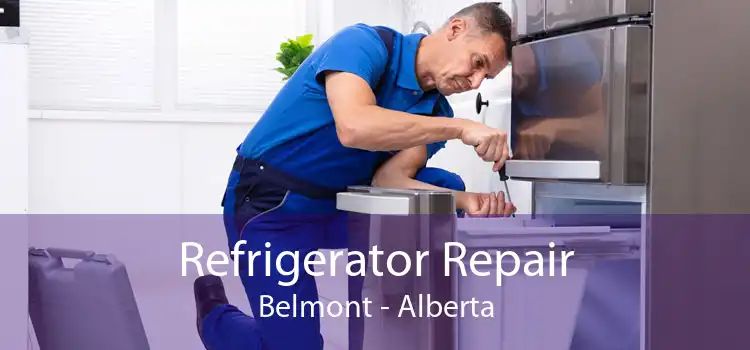 Refrigerator Repair Belmont - Alberta