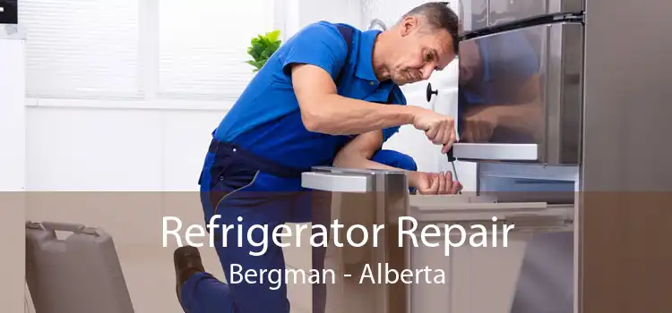 Refrigerator Repair Bergman - Alberta