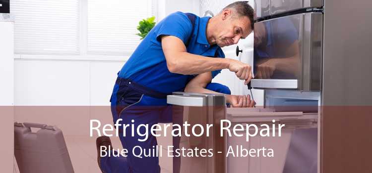 Refrigerator Repair Blue Quill Estates - Alberta