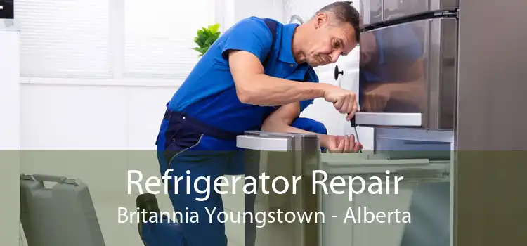 Refrigerator Repair Britannia Youngstown - Alberta